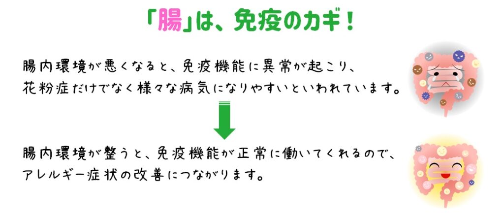 ｢腸活｣で花粉症対策しましょう！
