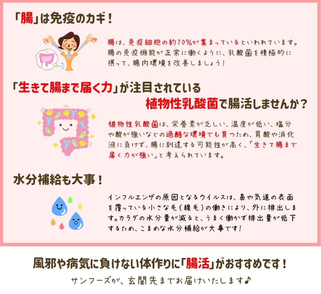 インフルエンザ予防に！乳酸菌で腸内環境を整えましょう