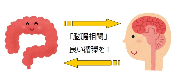 季節の変わり目である 9 月は、腸のケアをしましょう