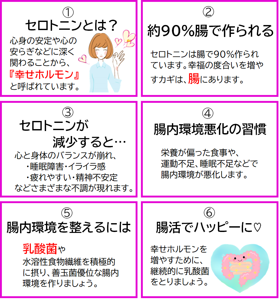 腸と『幸せホルモン』の深～い関係